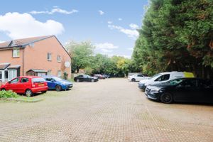 Photo 8- click for photo gallery